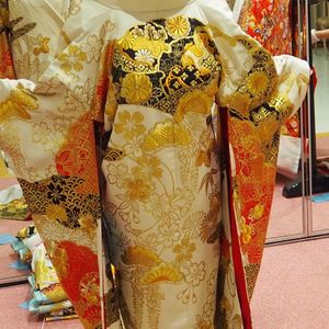 ゴージャス感のある色打掛