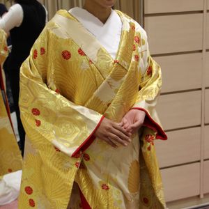 珍しいゴールドの羽　色打掛