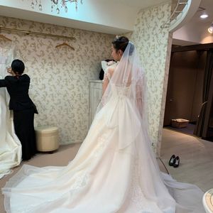 半袖タイプのクラシカルなドレス