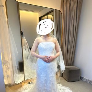 綺麗なマーメイドライン
