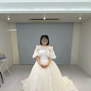珍しいデザインのウエディングドレス