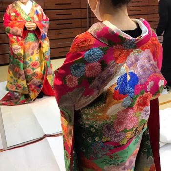 ワイン地唐織松に花車孔雀