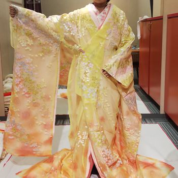 黄色のオーガンジーの色打掛