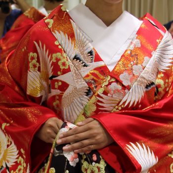 人気の高い赤×鶴の色打掛