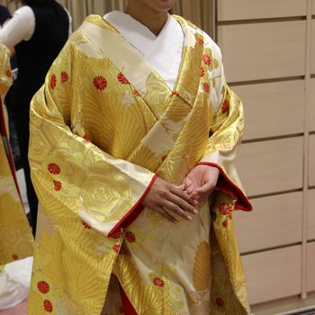 珍しいゴールドの羽　色打掛