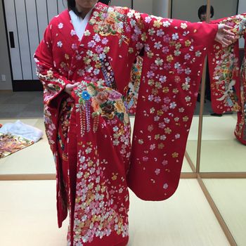 桜が散るちりめん色打掛