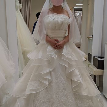 フリルが何層にもなった華やかなドレス