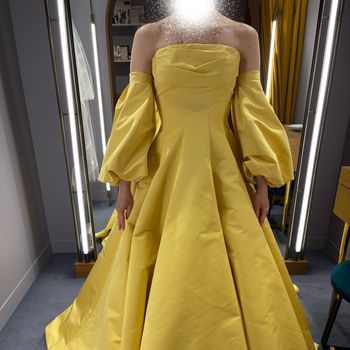 袖が特徴的で取り外し可能、後ろのくるみボタンが可愛い