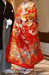 鶴と熨斗目模様の赤の色打掛。「ザ・色打掛」というような王道の