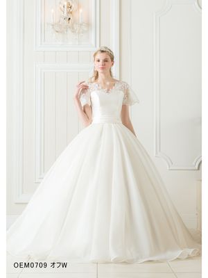 ベルヴィグループ ウェディングドレスの口コミサイト ウエディングパークドレス