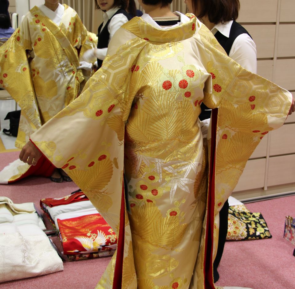 珍しいゴールドの羽　色打掛