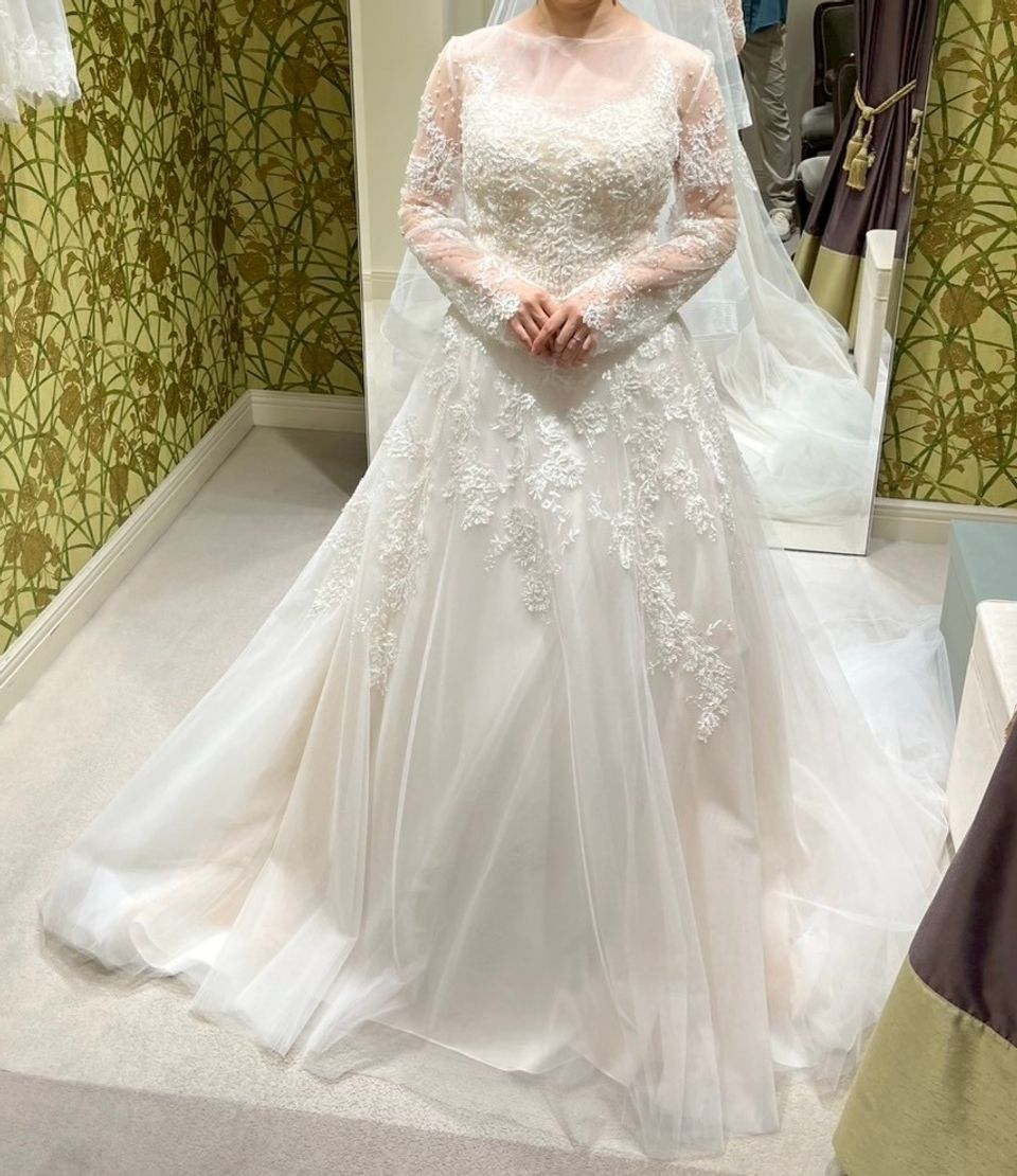 キラキラビジューと透け感のある長袖が特徴的なドレス